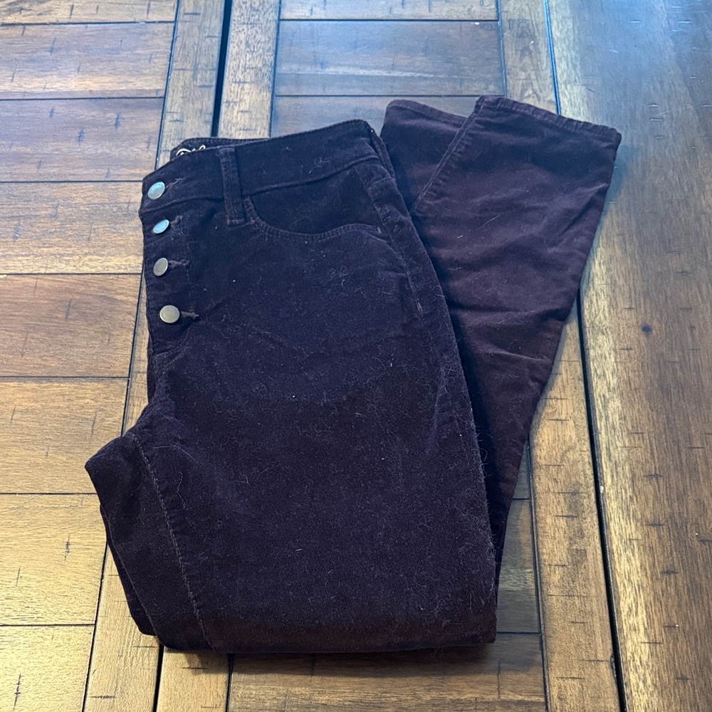 Universal Thread Dark Purple Skinny Pants